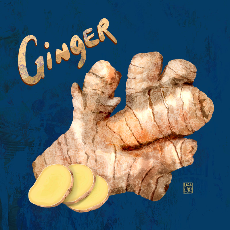 food vegetable illustration of sliced ginger root