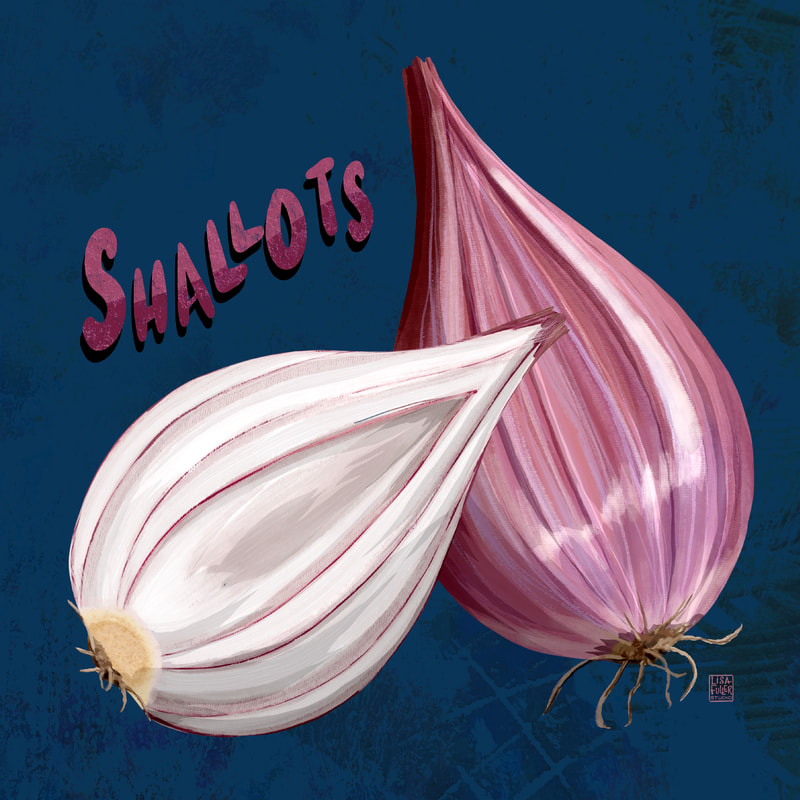 food root vegetable illustration of shallots